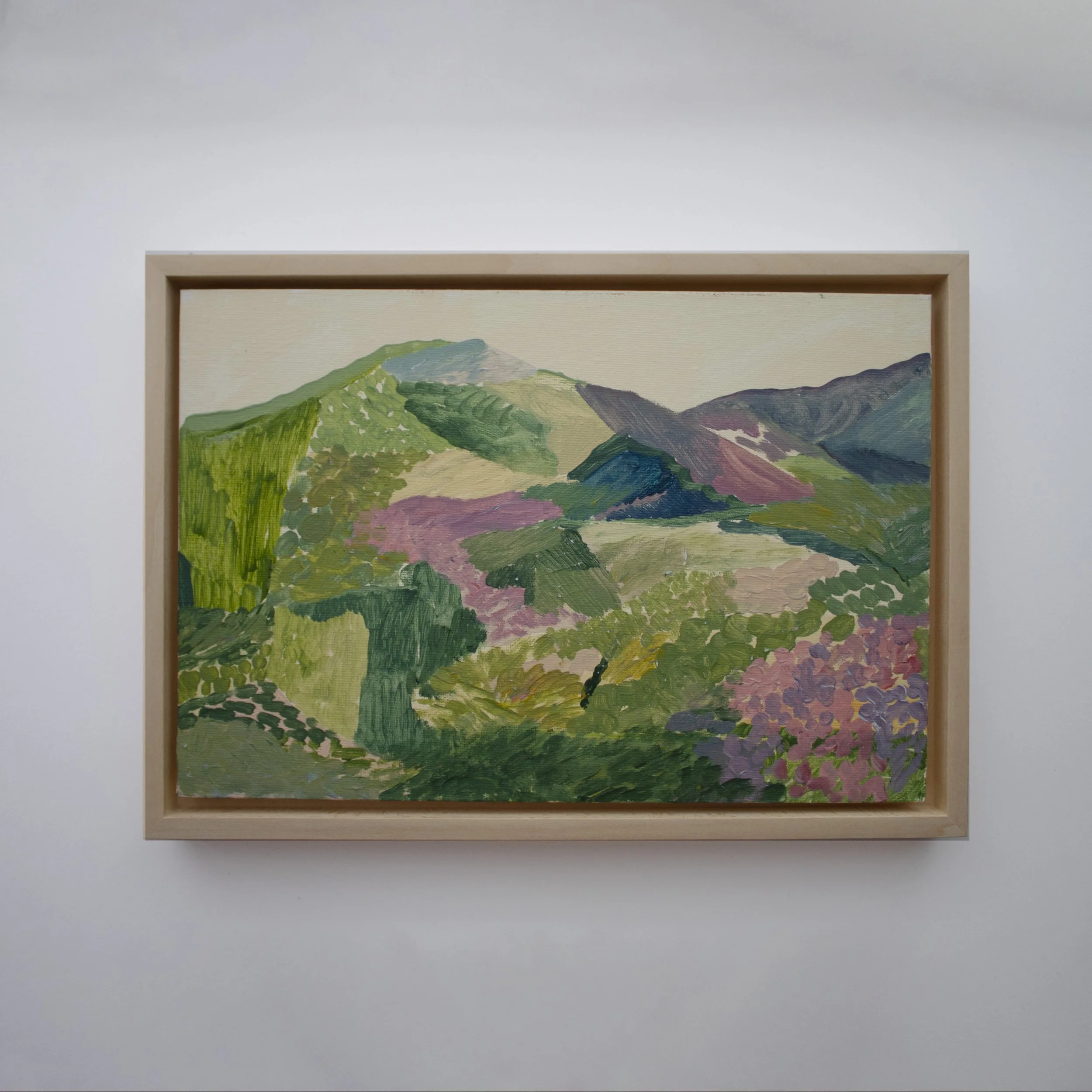mountAINS1.jpg