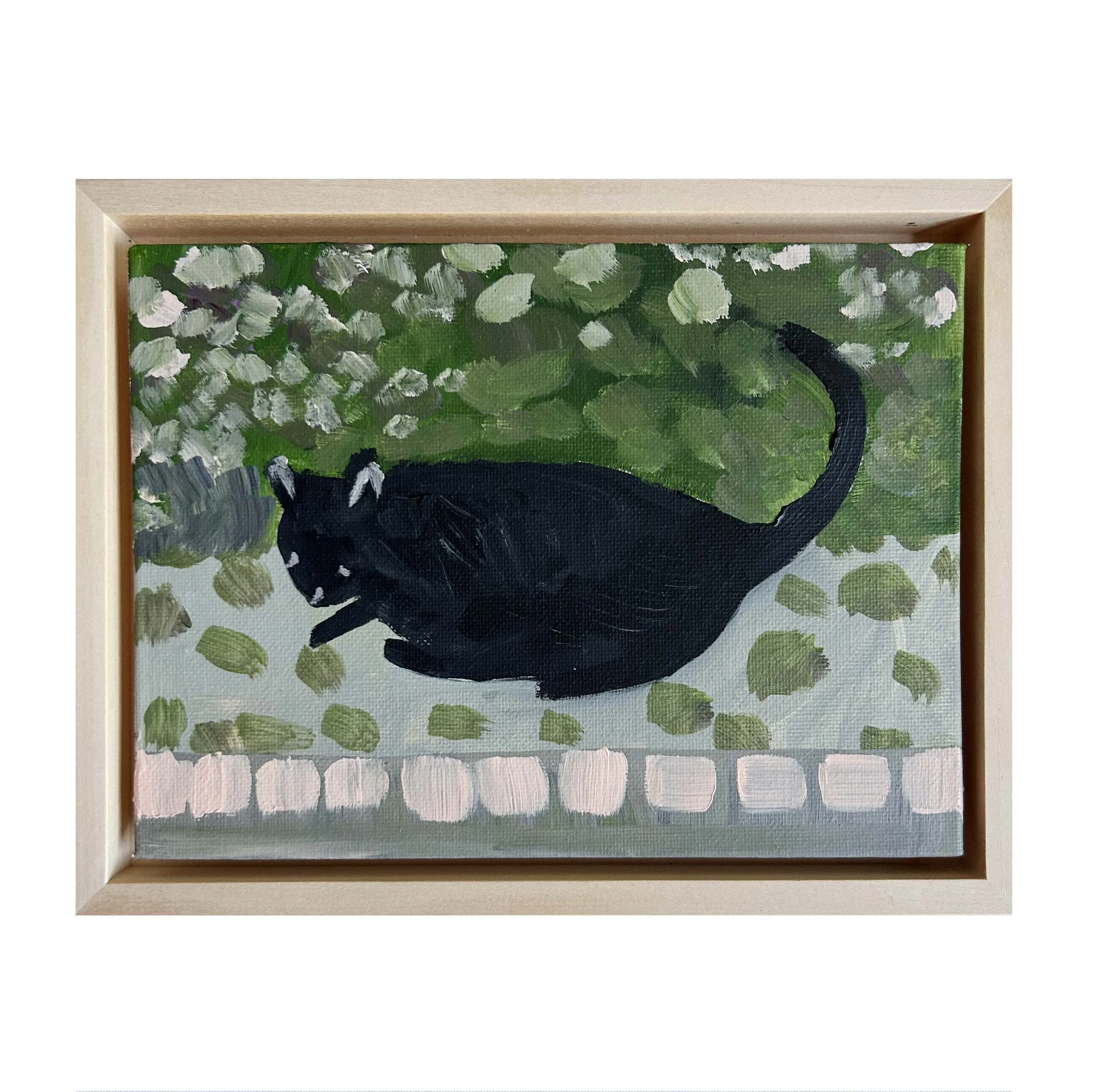 web-cat on the street.jpg