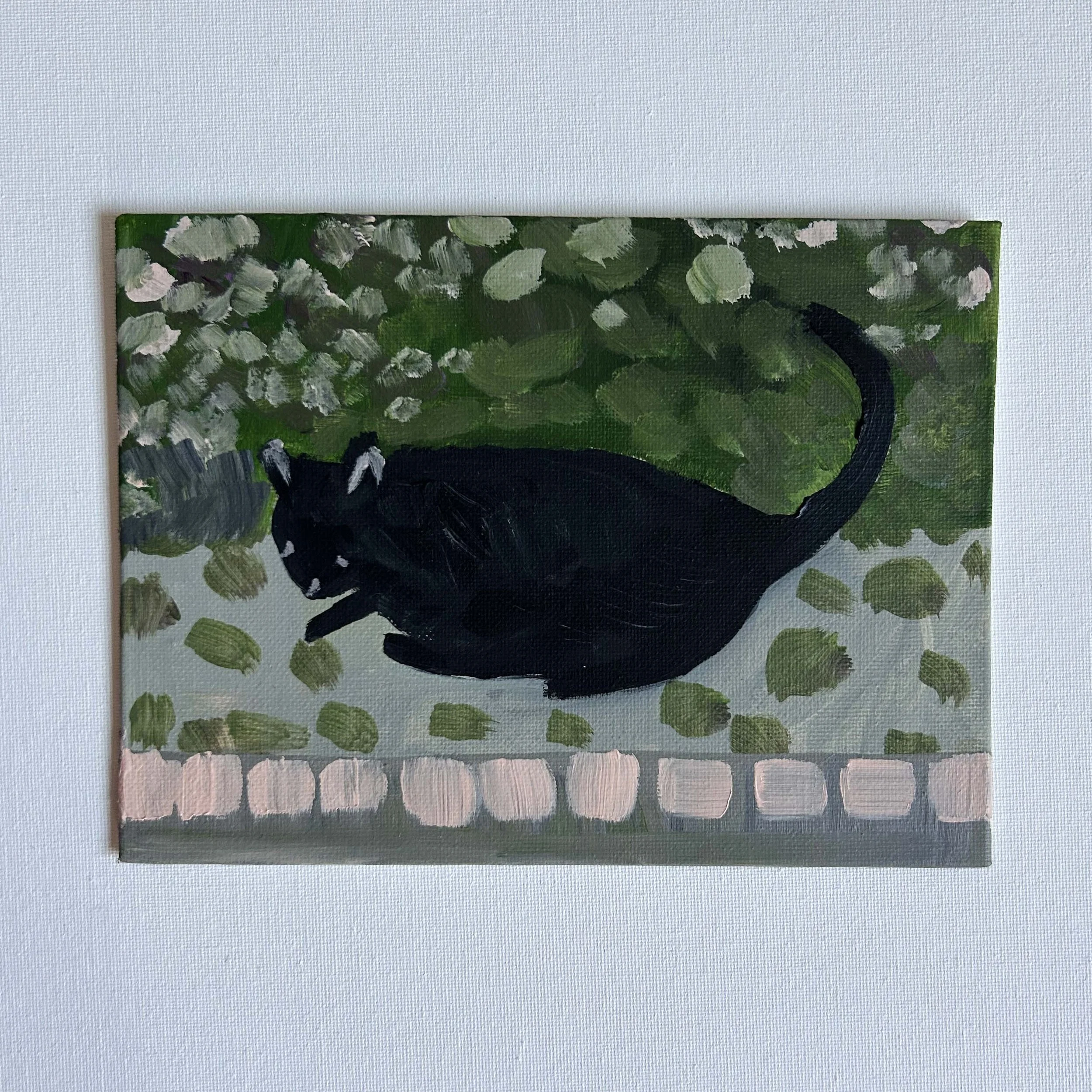 cat on the street unfraed.jpg