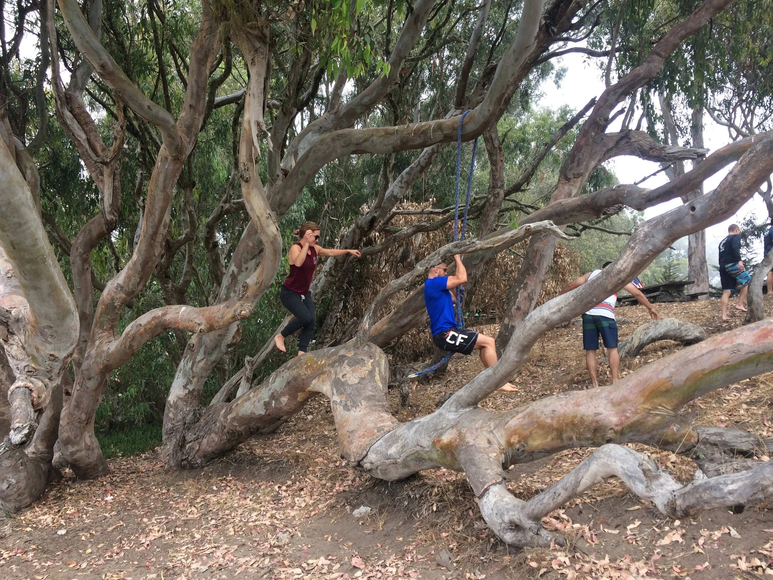 Thursday, September 13