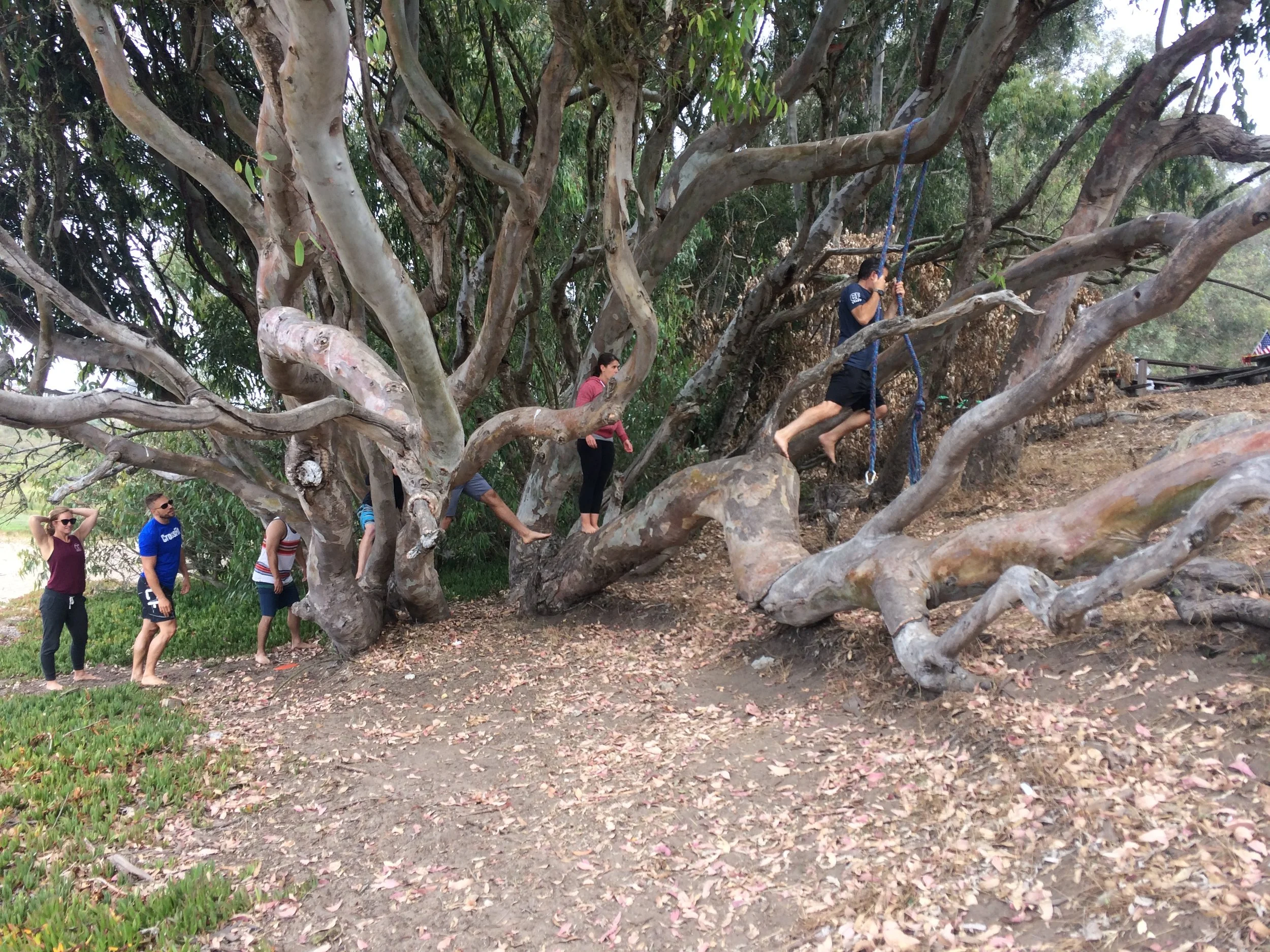 Friday, September 28