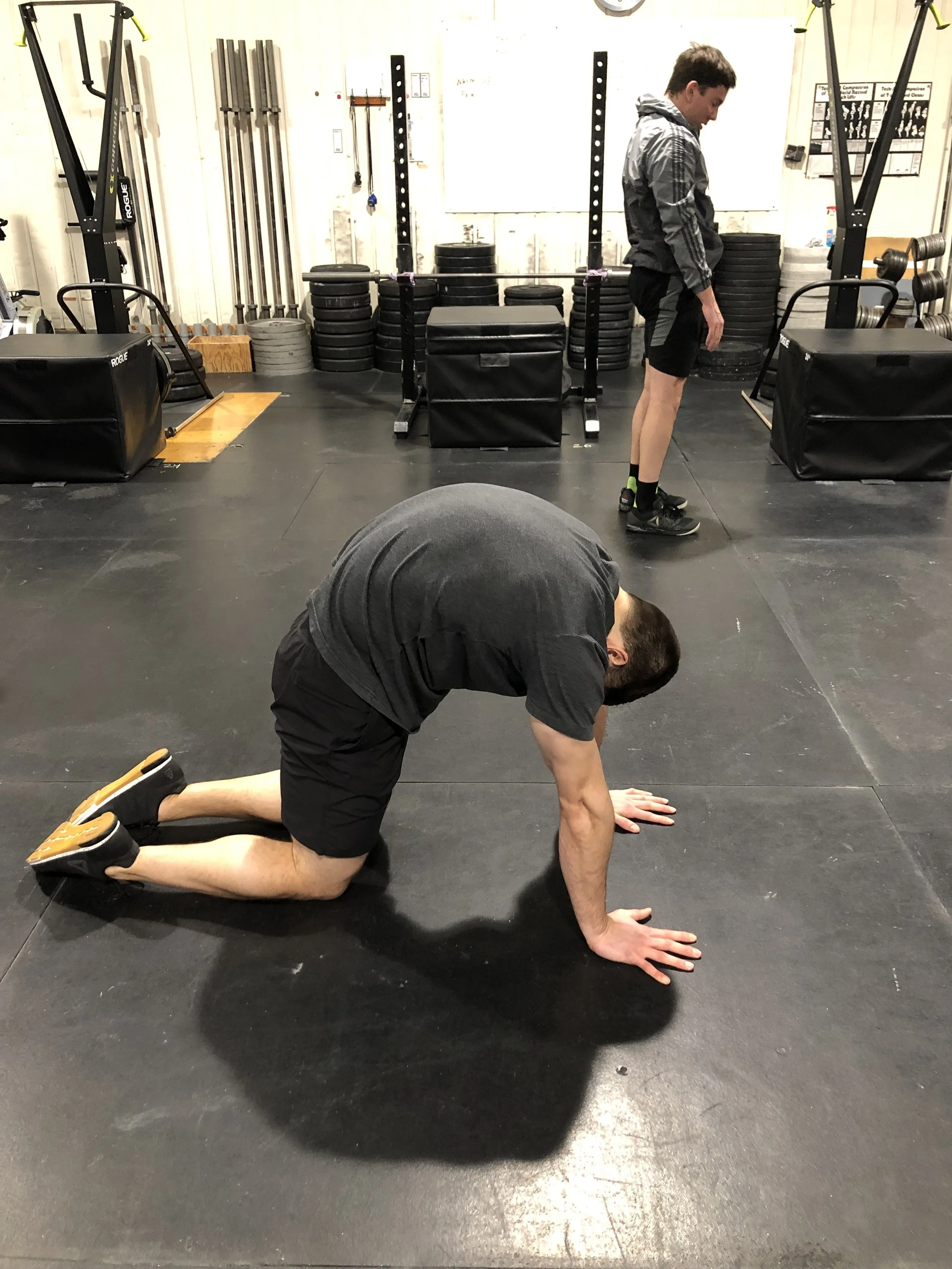 Tuesday, February 12