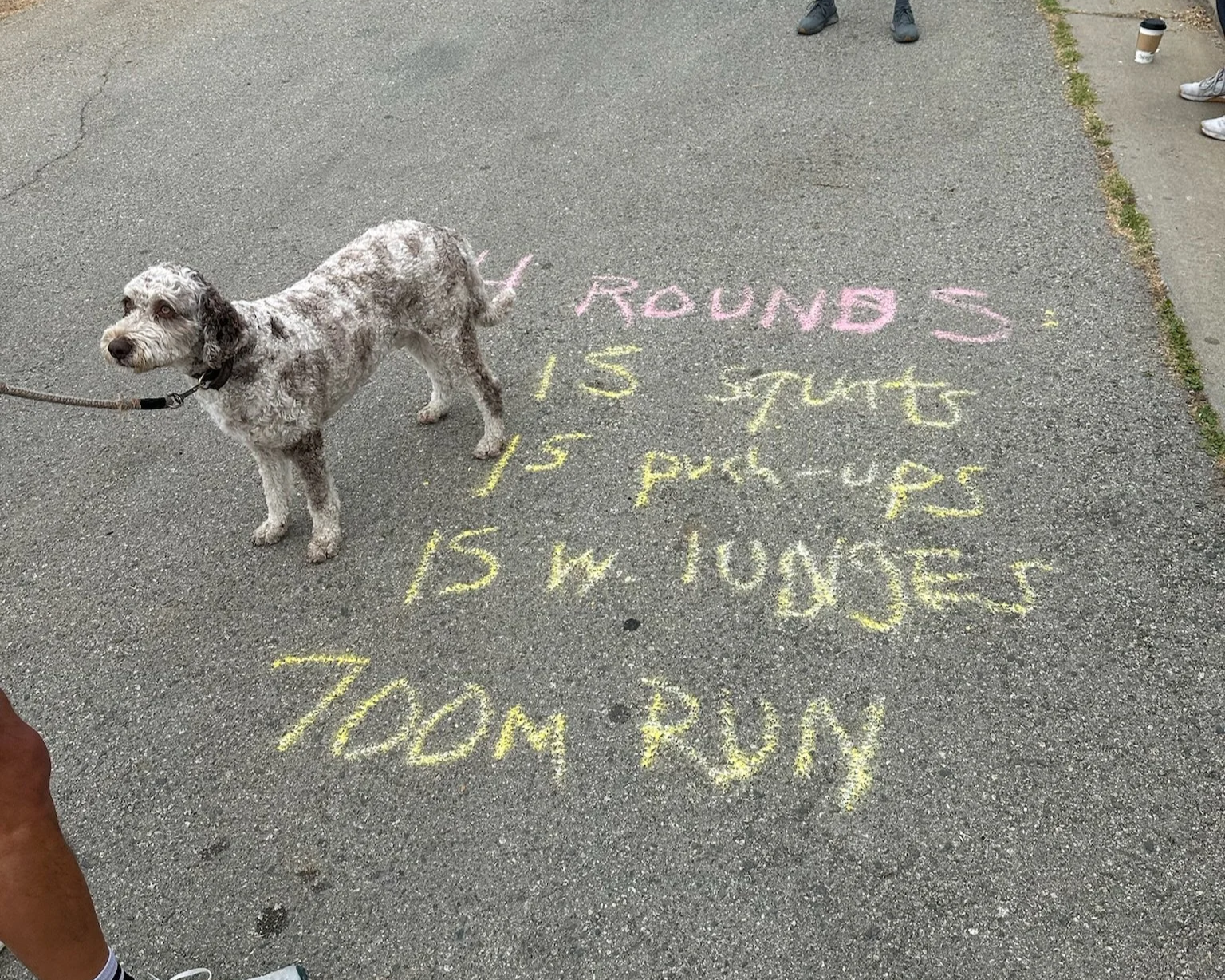 Saturday, January 17