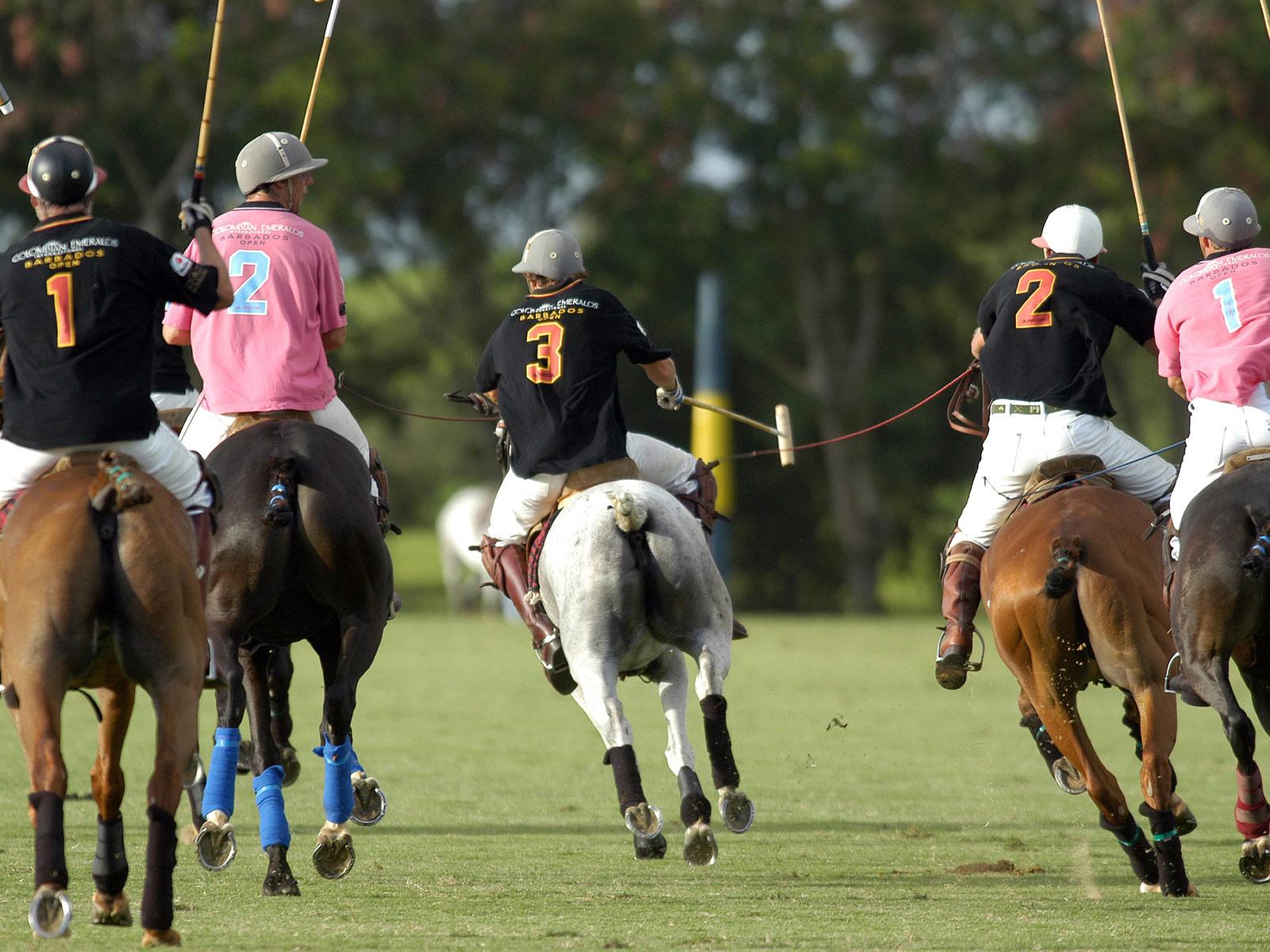 Polo matches in Barbados are wonderful afternoon entertainment.