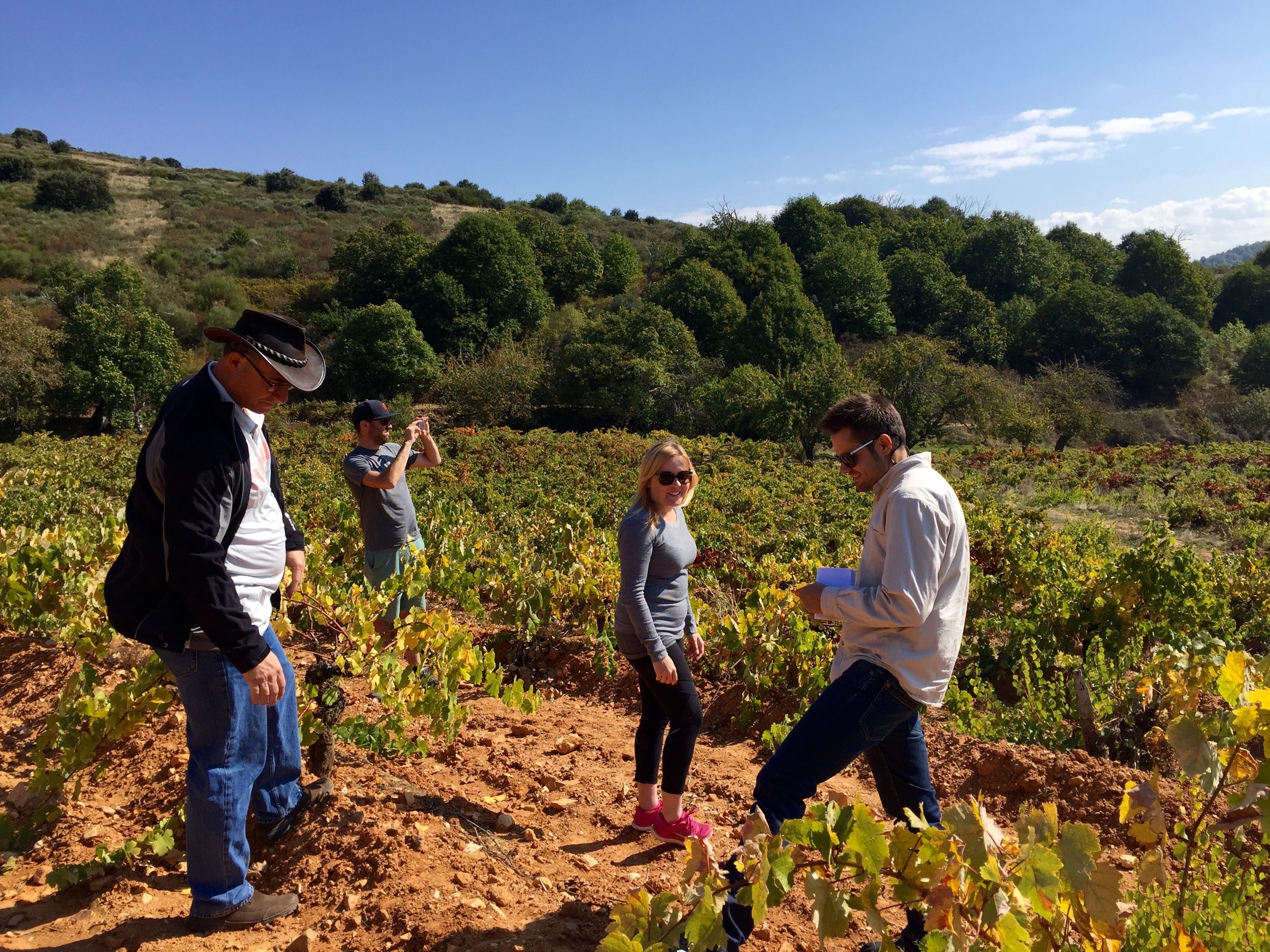 his oldest vinyard.jpg