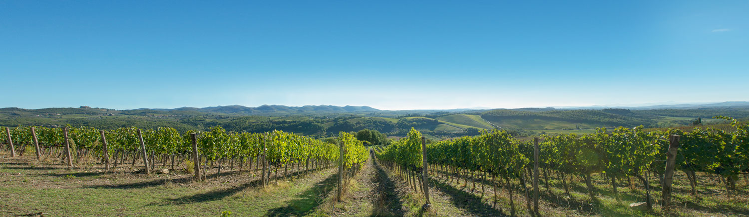 Castelnuovo Bernardenga, Siena