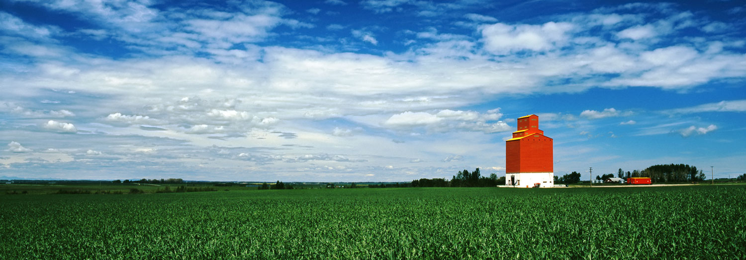 Alberta Grain Elevator