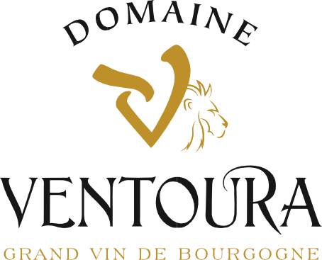Domaine Ventoura
