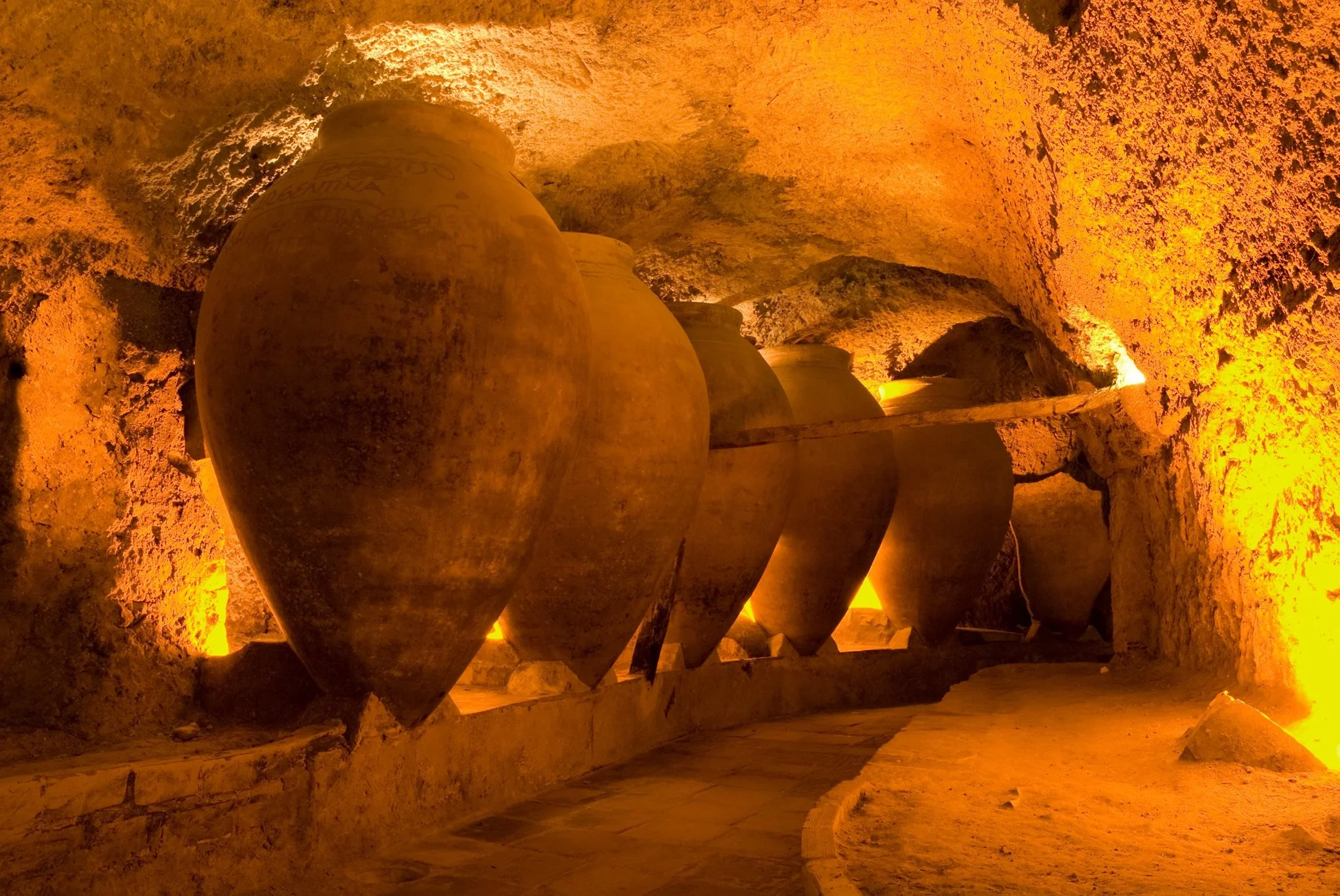 Vega Medien — wine alliance