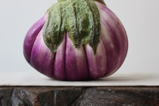 Holiday Feast Workshop