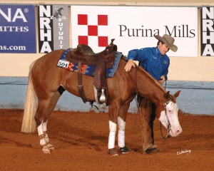 Americasnextgunmodel (Gunner x Cee Dun It Do It): $223,900 NRHA LTE, 2012 High Roller Reining Classic Futurity Level 4 Open Champion; 2012 NRHA Futurity Level 4 Open Champion; and 2013 NRBC Level 4 Open third place.