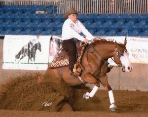 Always Gotyer Gunsup (Gunner x Always A Dunit): $152,400 NRHA LTE, 2010 NRHA Futurity Level 4 Open finalist and Prime Time Open Champion; 2012 NRBC Level 4 Non Pro Champion; 2012 NRHA Derby Level 4 Non Pro Reserve Champion; and 2013 NRBC Level 4 Non Pro Reserve Champion.