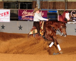 Shiney Enterprise is a 2008 sorrel mare by Smart And Shiney out of My Royal Enterprise. An earner of $72,924 , among her accolades are NRBC Non Pro Classic Reserve Champion, NRHA Derby Non Pro multiple top five, and AQHYA Intermediate World Champion. Her oldest foal was born in 2013.