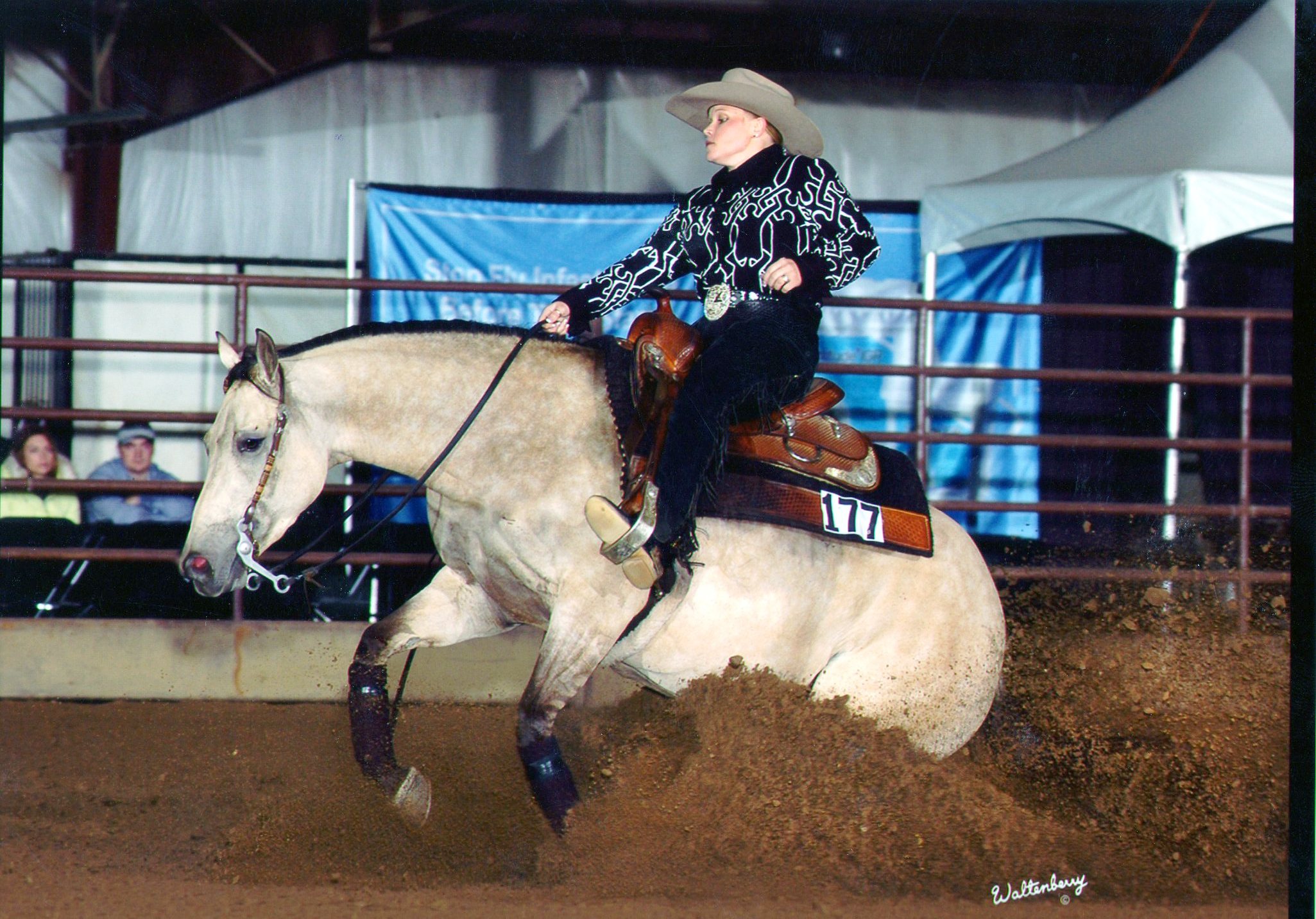Dun Its Déjà Vu, 2002 dun mare by Hollywood Dun It and out of Miss Okie Too by Muskeg. A producer of earners of $167,007 , “Deja” is the earner of $26,288 . She was the Gordyville Breeders Cup Derby Non-Pro Co-Champion in 2006 and 3rd in 2007. She also was the 2005 NCRHA Futurity Non-Pro Reserve Champion.