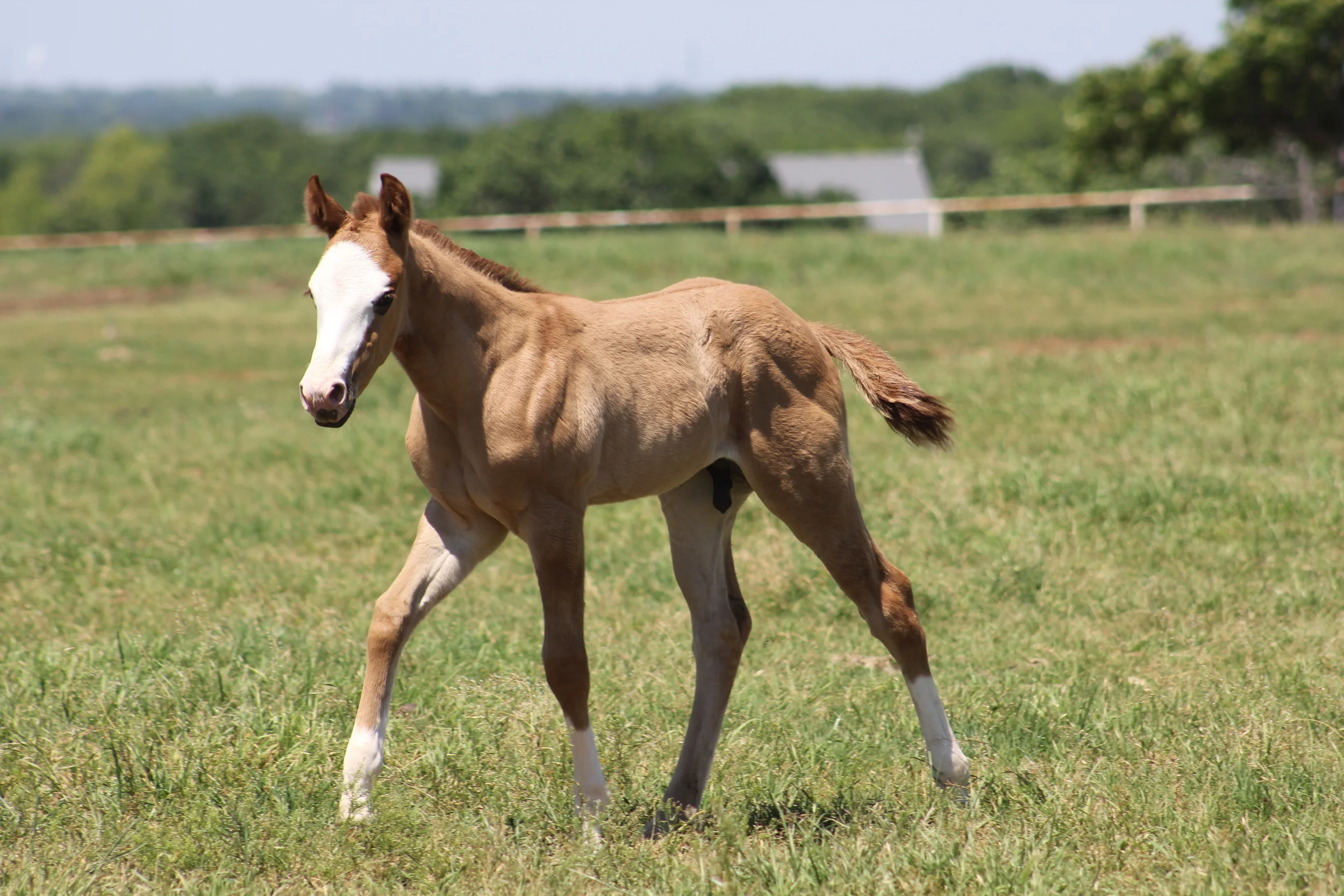 Gunners Special Nite x Gotta Git Ya Dun