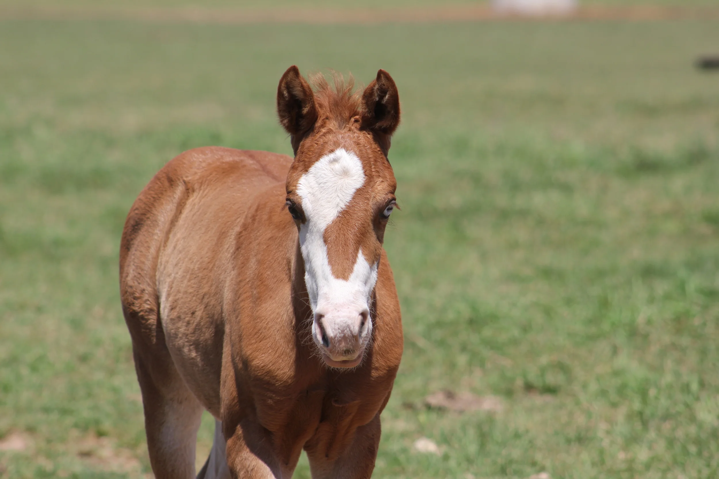 Gunner x Rio Dun Good