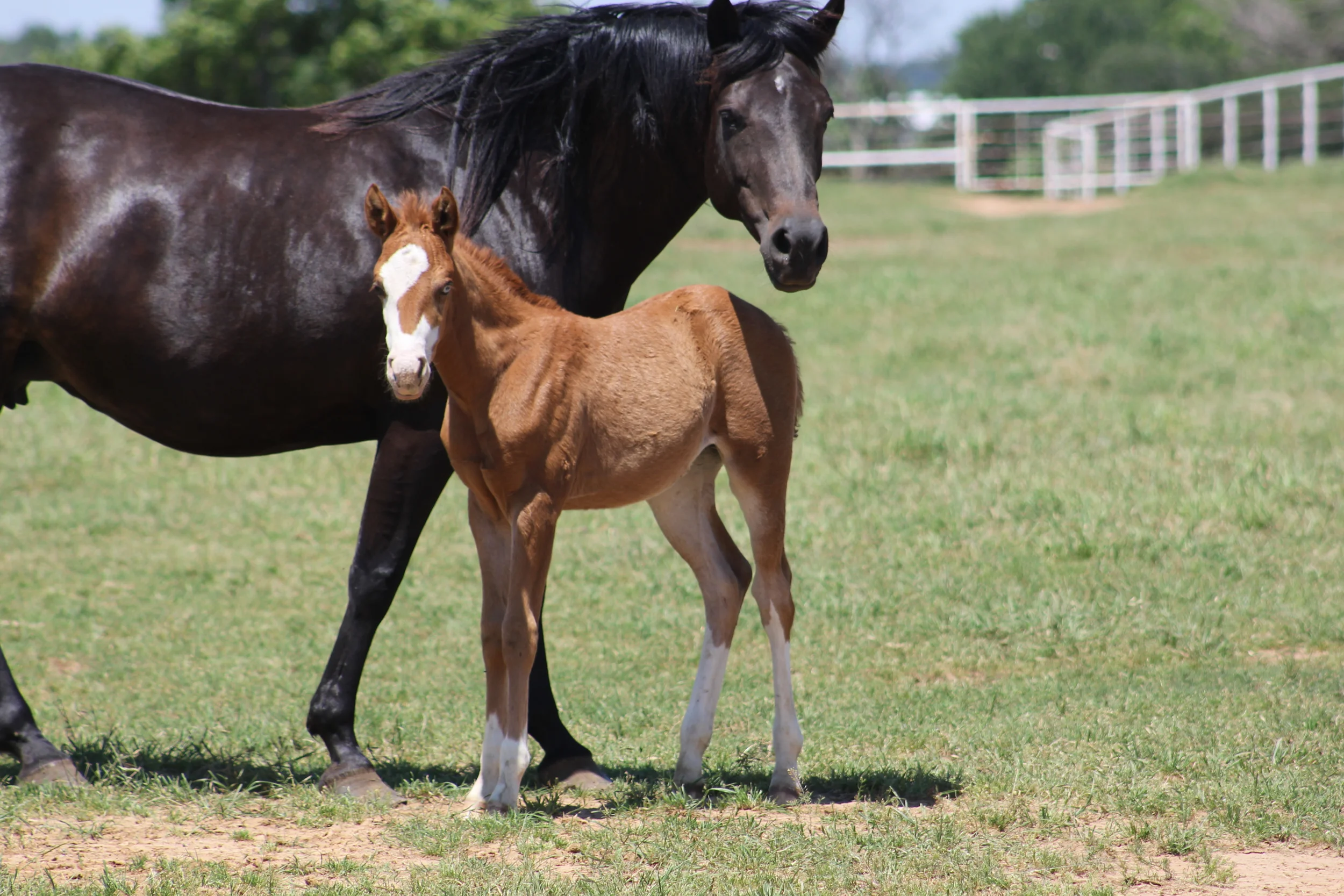 Gunner x Rio Dun Good