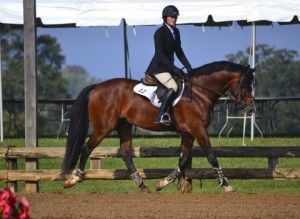 Lalair — blue ribbon winner and double clean in the 1.10M jumpers, owned by Bernadette Mulliken and shown by Alexandra Ansteth