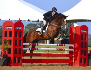 Lalair Owned by Bernadette Mulliken and shown by Alexandra Ansteth Blue ribbon winner in all his jumper classes