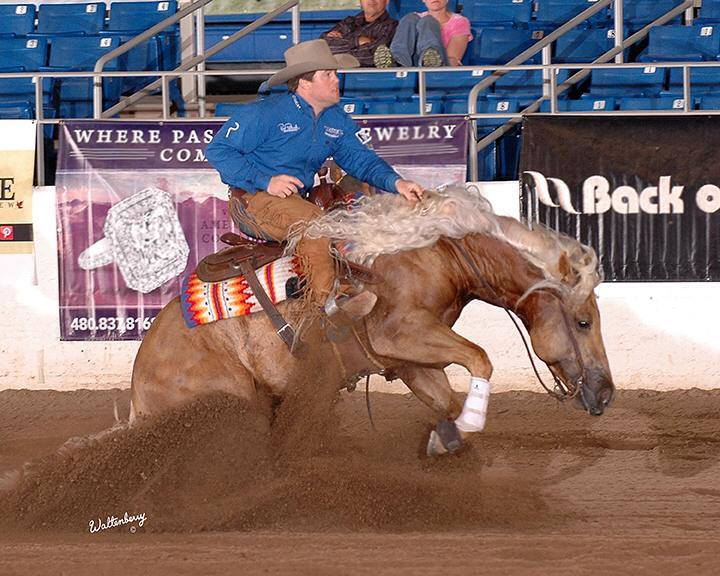 KR Billy Bob 2012 NRHA Open Futurity Finalist, 2012 Scottsdale Classic Open Futurity Reserve Champion, High Roller Reining Classic Open Derby Reserve Champion, AQHA World Championship Show Junior Reining Top Ten finisher, and earner of $33,950 . 