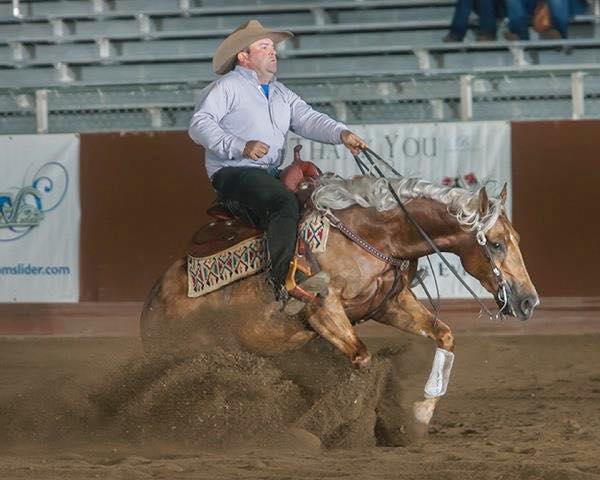 Designed with Shine A three year old in 2014, was the Reining By the Bay Open Futurity Reserve Champion, AZRHA Best of the West Open Reining Futurity Level 3 and 4 Open Champion, and earner of over $13,600 in her three year old year. 