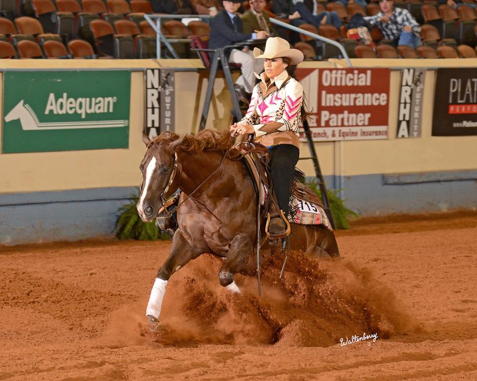 Shine N Money Placed in the top 5 in the NRHA Non Pro Futurity Level 3 and the Heritage Futurity Non Pro Level 3 and 4, also placing in the top 10 in the Southwest Reining Horse Association Futurity Level 3 Non Pro and the Tulsa Reining Classic Non Pro Futurity Level 3, earning over $15,000 during her three year old year. 