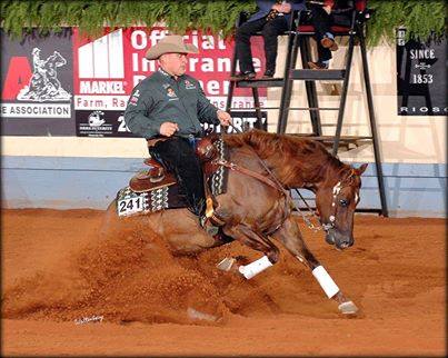Tinseltown Fly Guy 2013 NRHA Open Futurity Reserve Champion, Hollywoodstinseltown Open Futurity & Turnabout Farm Non Pro Futurity 3rd Place, Heritage Futurity Reserve Champion, Gordville Breeders Cup Champion, Whimpys Little Step Derby Champion, 2014 NRBC 7th place, 2015 NRBC 5th place Earner of $214,964.28+