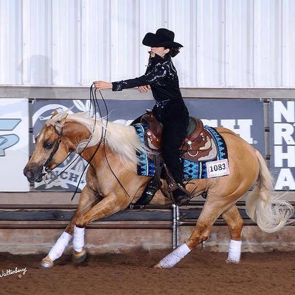 Chex From Tinseltown Winner of the Scottsdale Classic Futurity and earner of $10,384.20+