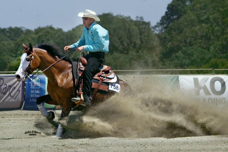 Check Your Gun Lady NRHA Open Futurity and Open Derby Finalist, 2009 NRBC Intermediate Open Top Ten, 2009 NRHA Open Derby Finalist; NRHA Primetime Derby Champion;North Central RHA Open Futurity Co-Reserve Champion; 4th at Reining by the Bay Open Derby; split 6th at the Scottsdale Classic Open Futurity; 12 AQHA points E arner of $39,811+ Producer of earners of $25,000+