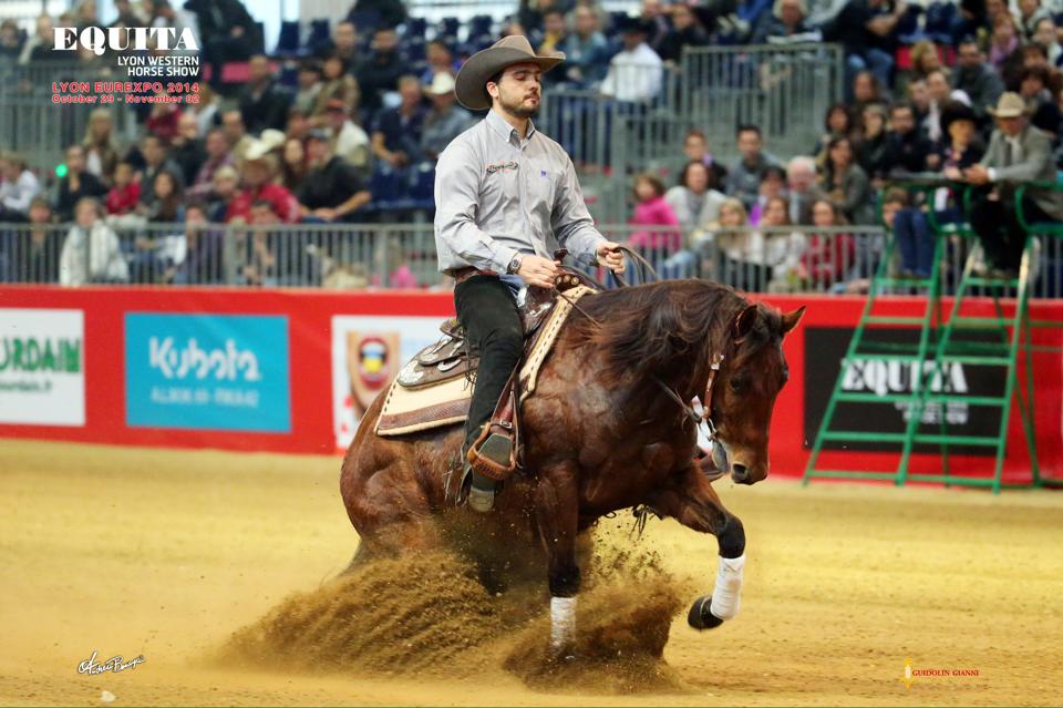 Yellow Hen Gigolo earning $817+ : 2014 Equita Lyon L4 Open Futurity- 3rd
