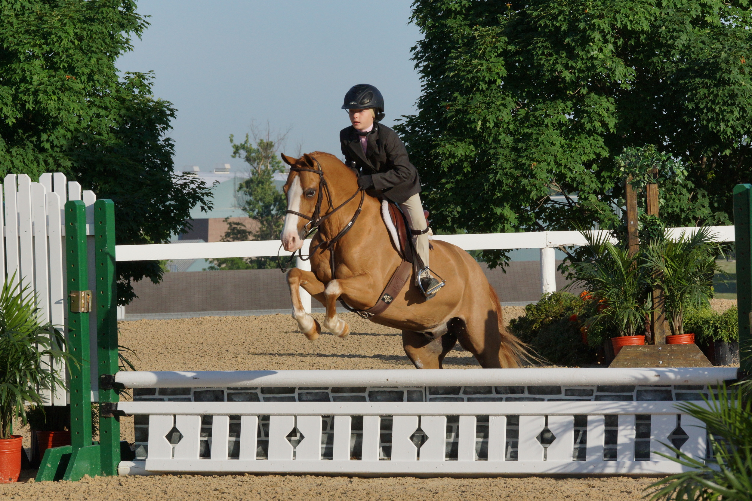 Carlee and Miracle KY.JPG