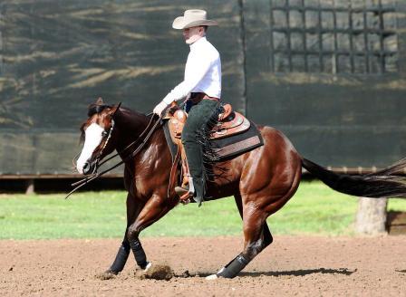 SNS Uvalde King Top 5 in the 2011 Scottsdale Classic Limited Open Futurity, Top 10 at the 2011 John Deere Futurity Ltd L2 Open, Top 5 at the 2011 Scottsdale Classic Futurity Ltd L2 Open, Top 10 2012 Darling 888 Ranch Derby L2 Open, and multiple time winner of ancillary Limited Non Pro classes, earing over $4100