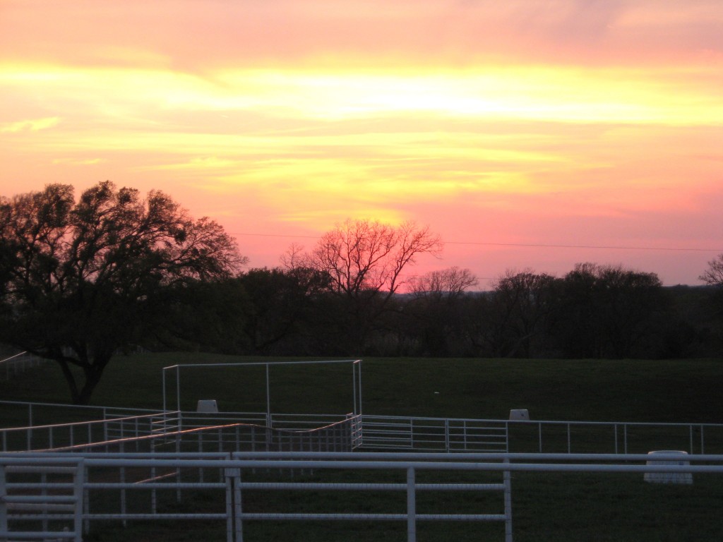 Sunset over pasture.jpg