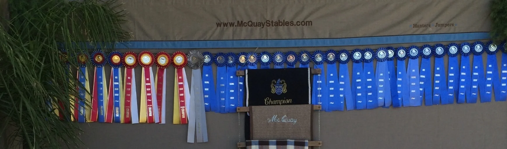 CA Ribbons.JPG