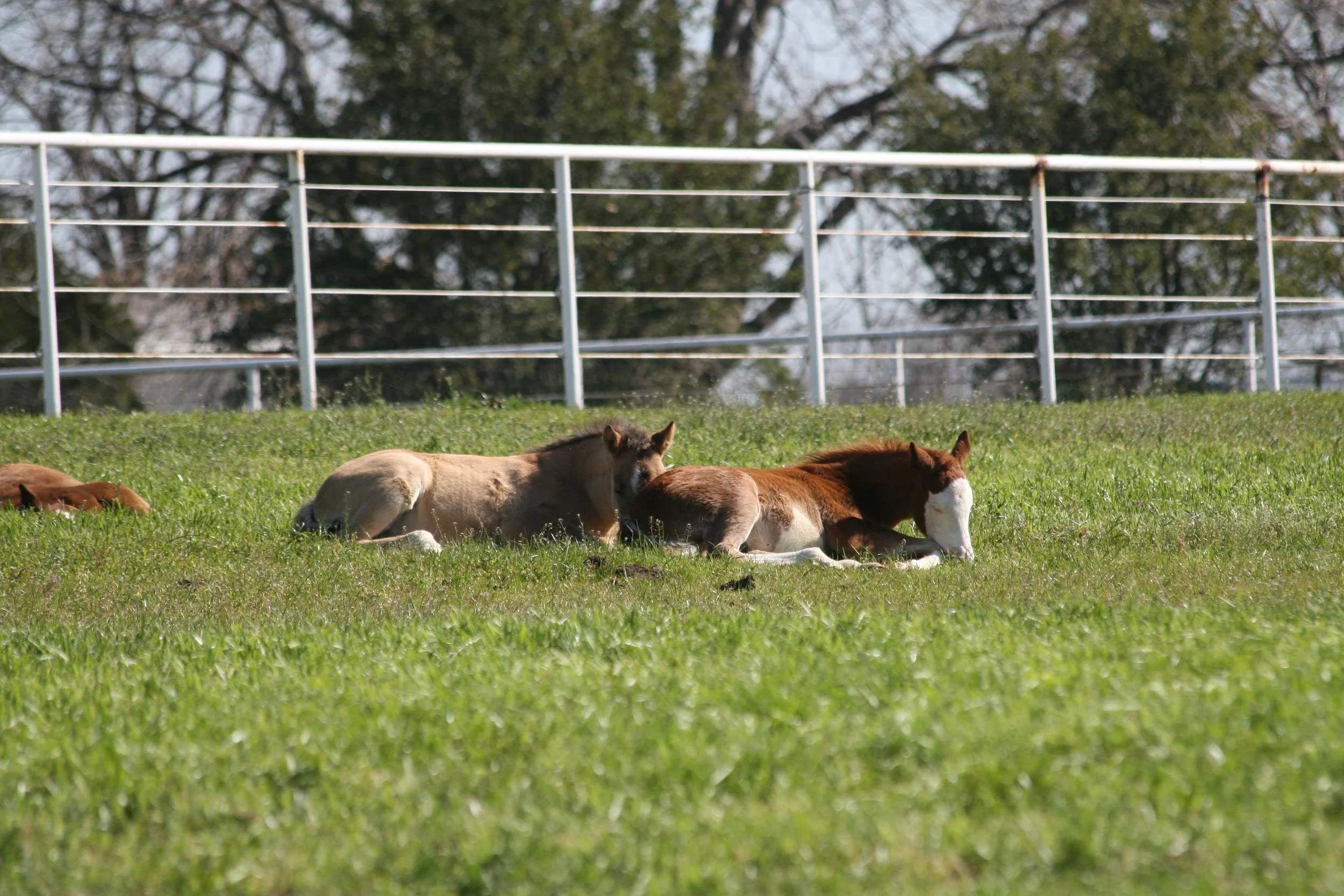 IMG_6923.JPG