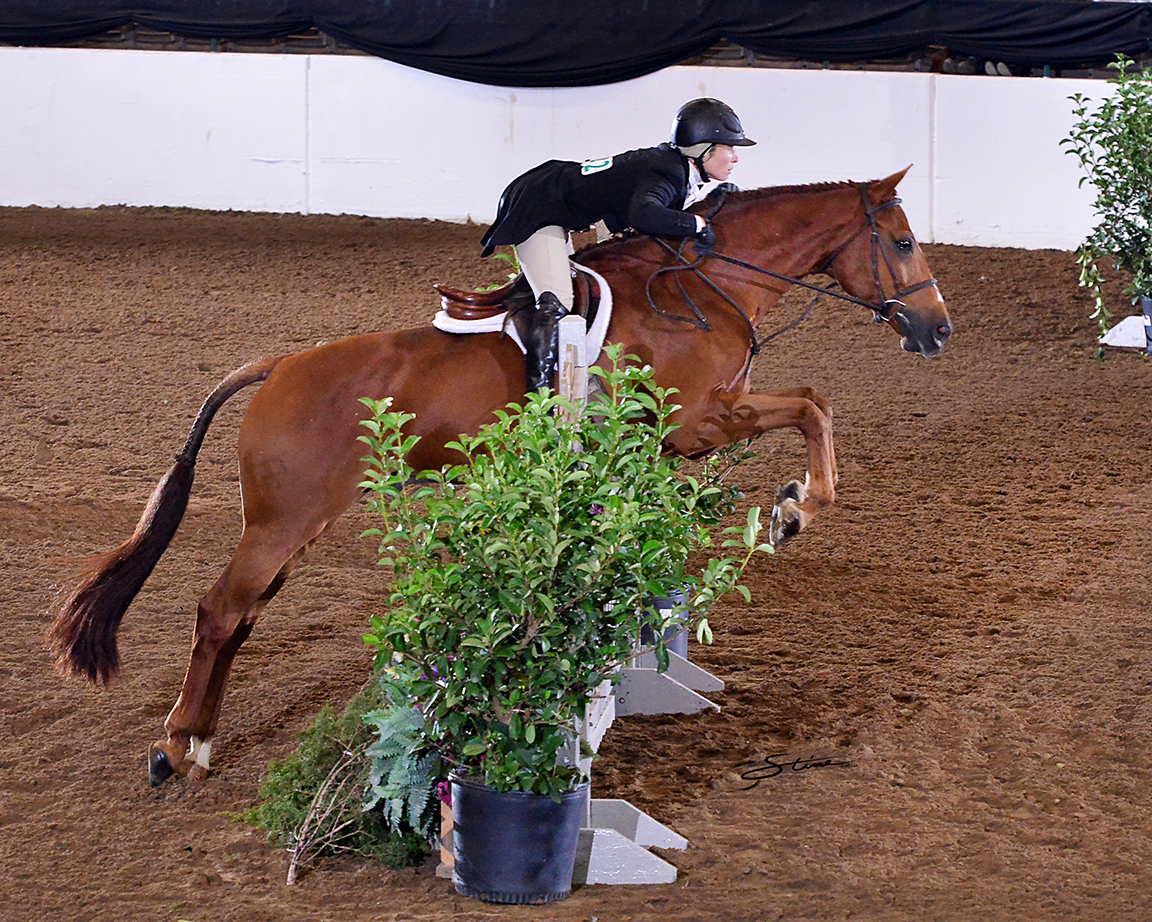 Courtney Calcagnini and Harley, owned by Patrick and Jana Rodes