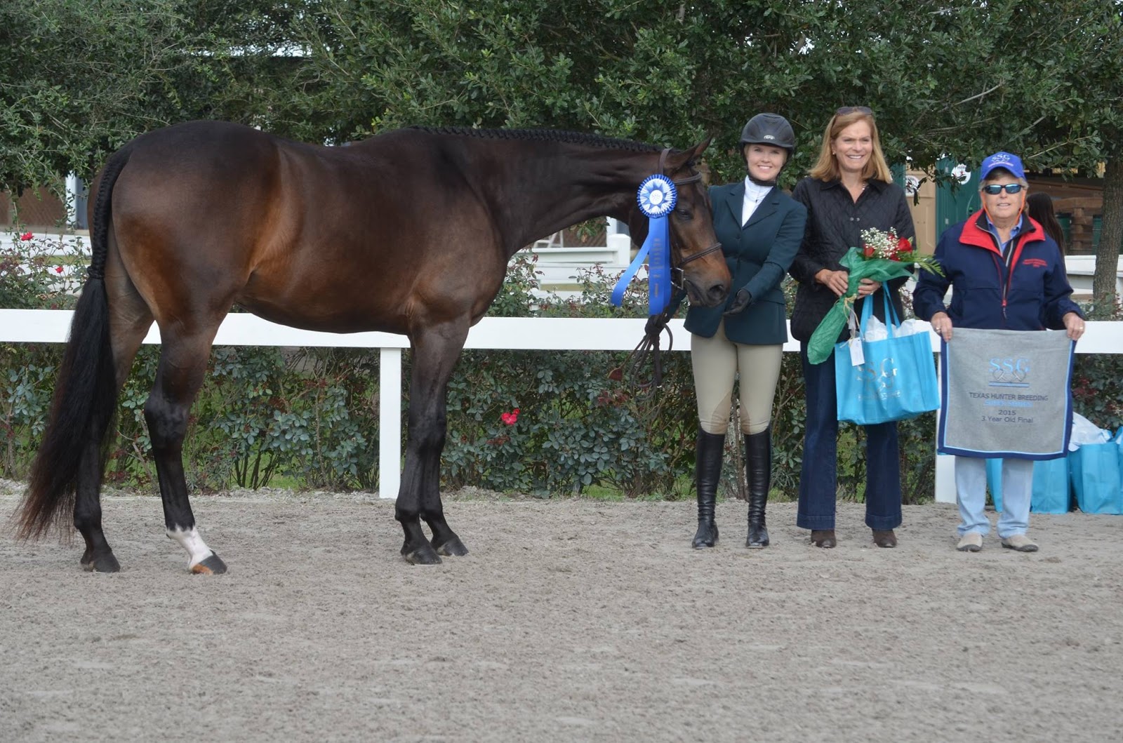 Ryan T, 3 Year Old On-The-Line Champion, bred by Amanda Taylor, raised by McQuay Stables, and now owned by Jamie Martin