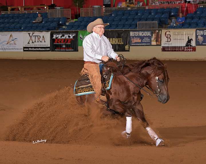 Tim McQuay tied for Reserve Champion in the Developing Futurity (Section A)