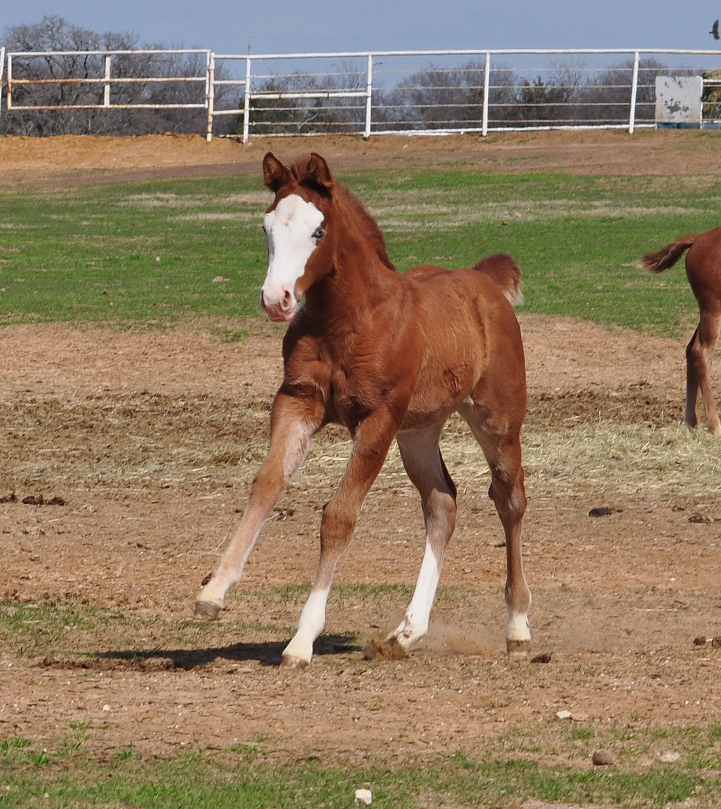 Yellow Jersey x Whoze That Girl