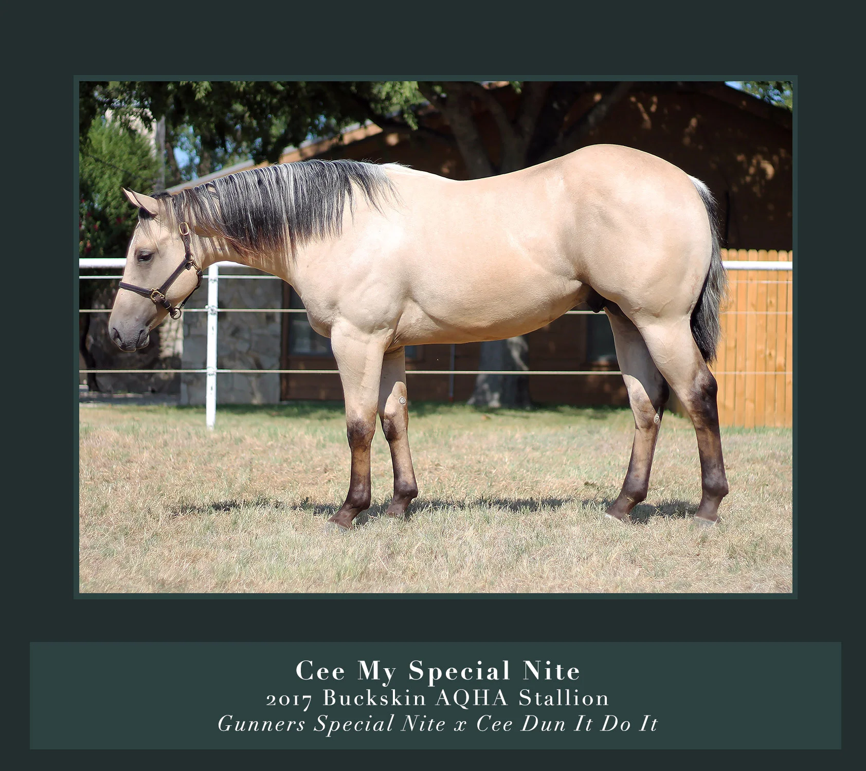 Cee my special nite.jpg