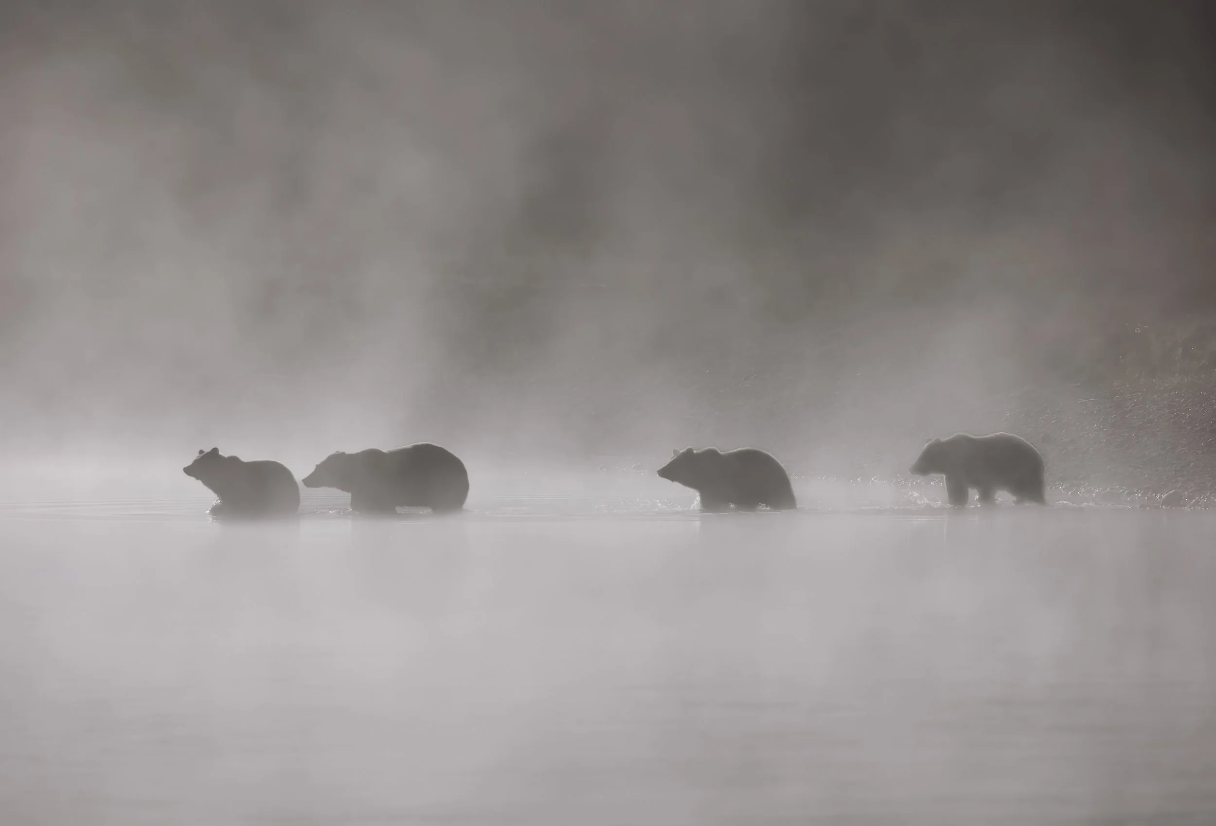 610 and cubs cross.jpg