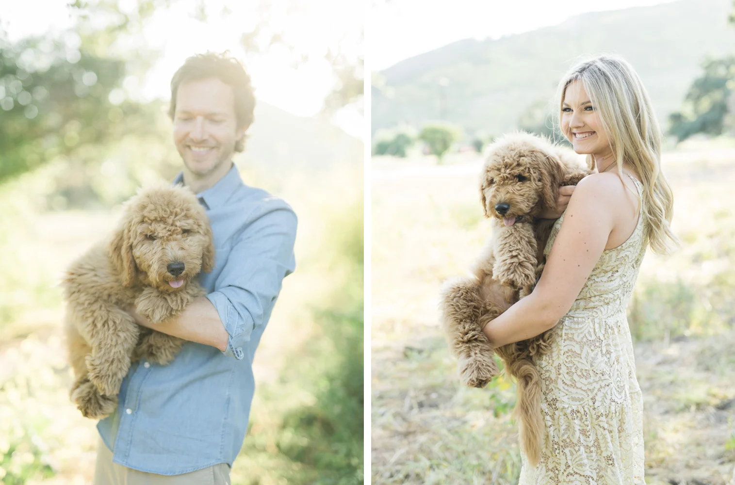 GoldenDoodle_0005.jpg