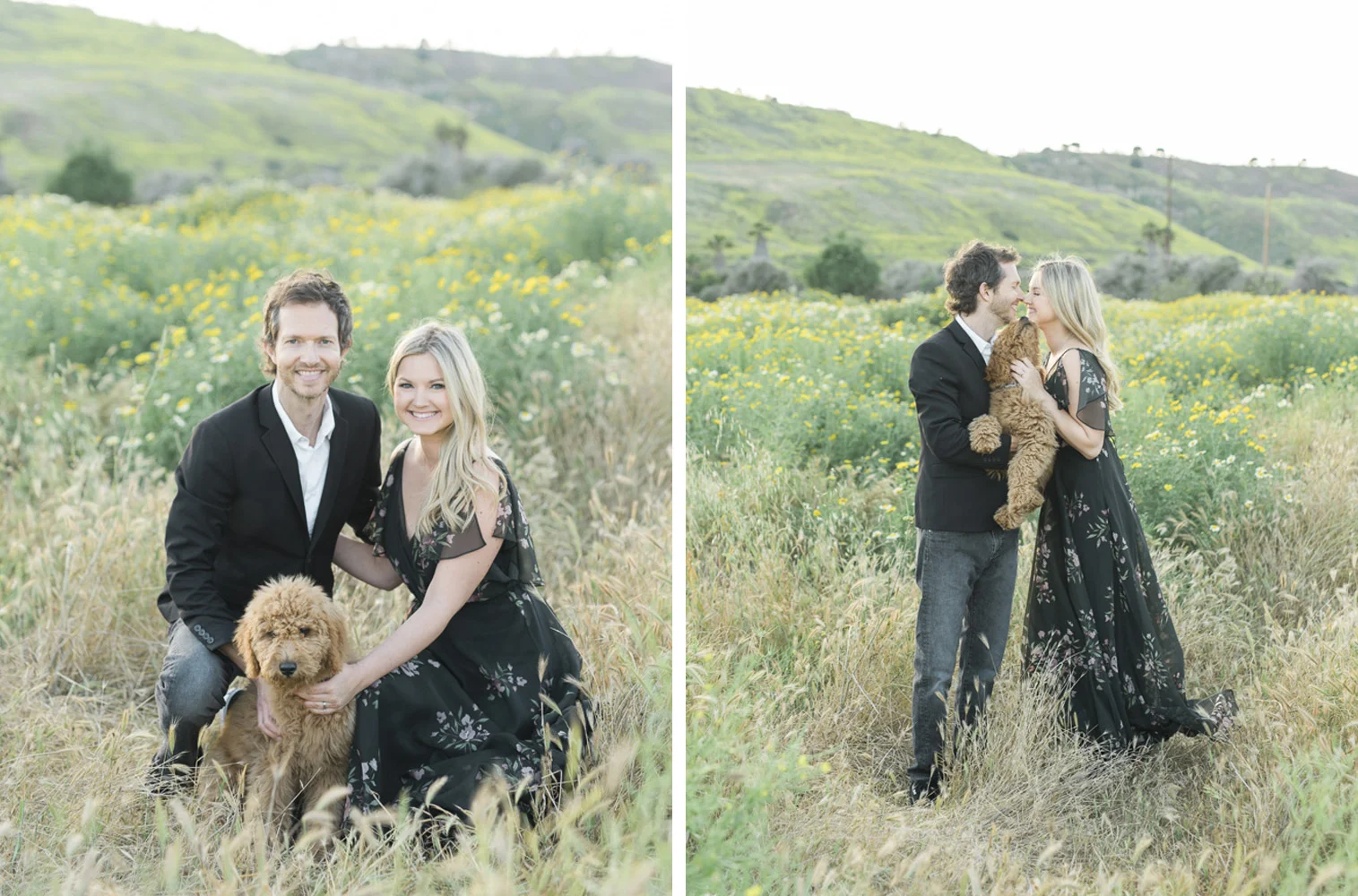 GoldenDoodle_0011.jpg