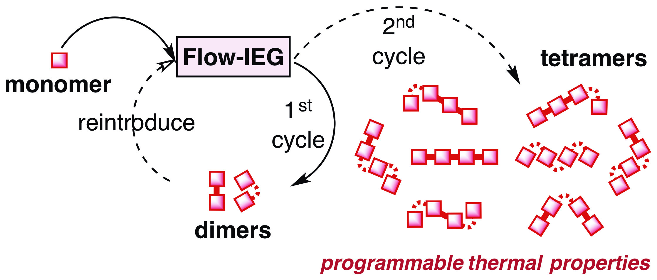 ACW-Graphical Abstract.jpg