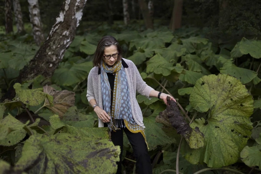 author Lydia Davis