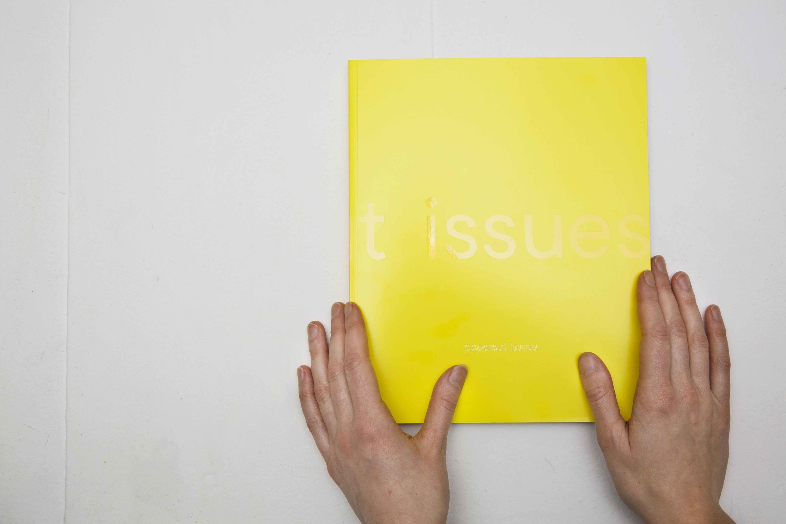 MyIssues02.jpg