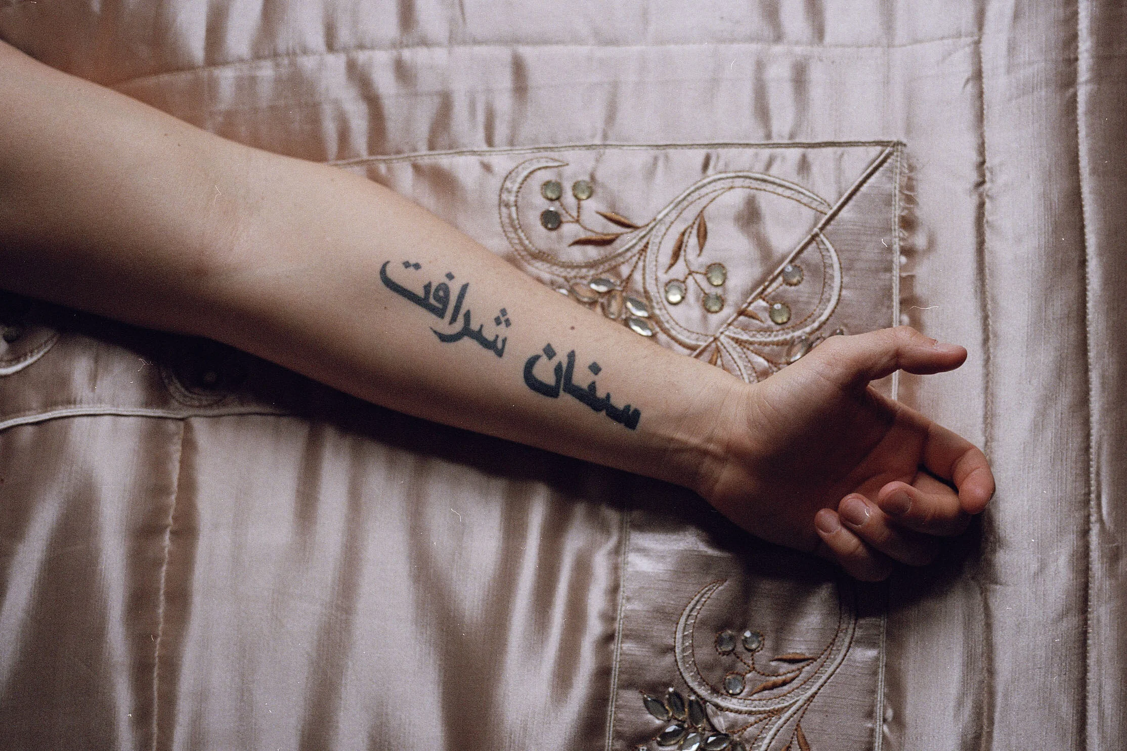 lgtbheader02.jpg