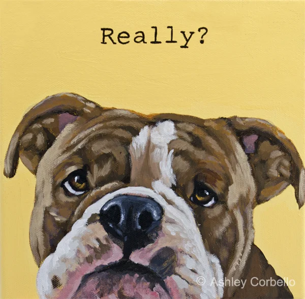 ashleycorbello_Really_bulldog small.jpg