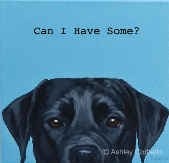 ashleycorbello_lab_canihavesome.jpg