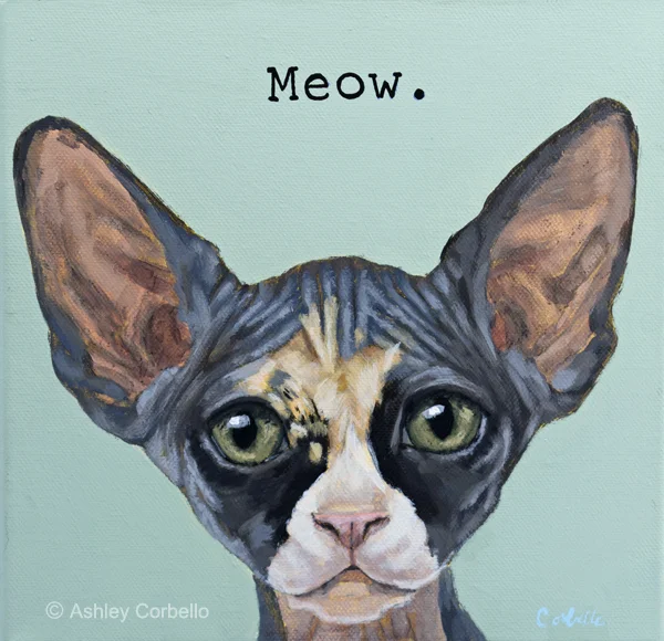 AshleyCorbello_meow_web.jpg